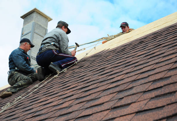 Tile Roofing Contractor in Green Oaks, IL